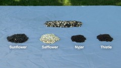 How To Pick The Right Bird Seed Ace Hardware 240x135